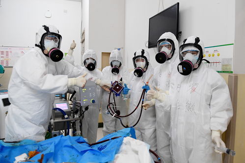 傳承西遷精神 開啟奮進新征程——教職工書畫攝影作品展掠影攝像及制作服務紀實